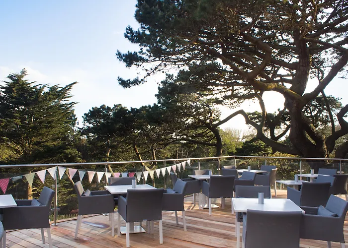 Top-Rated Pet Friendly Hotels in Bournemouth