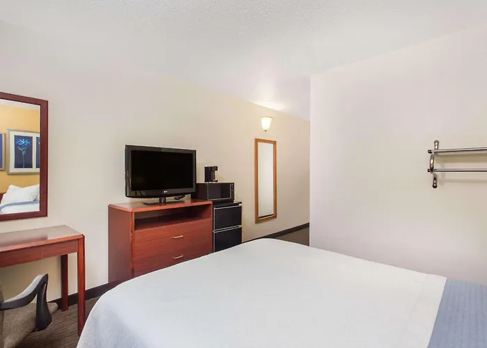 Best Pet-Friendly Hotels in Austin