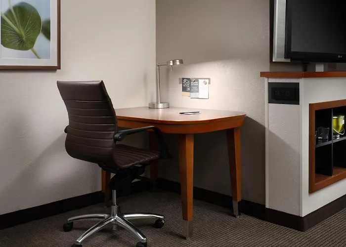 Best Columbus Zoo Hotels for an Unforgettable Stay