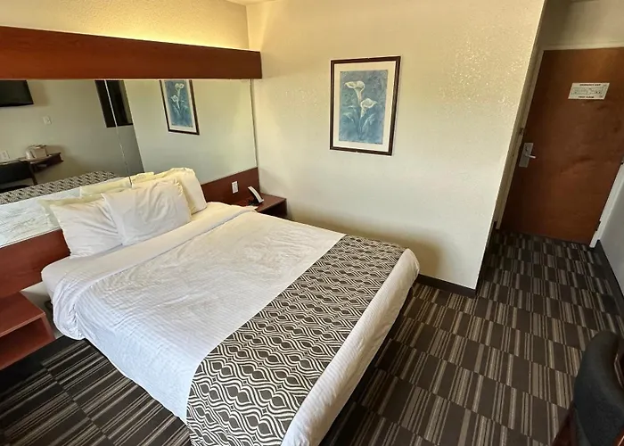 Best Family-Friendly Hotels in Miami Beach