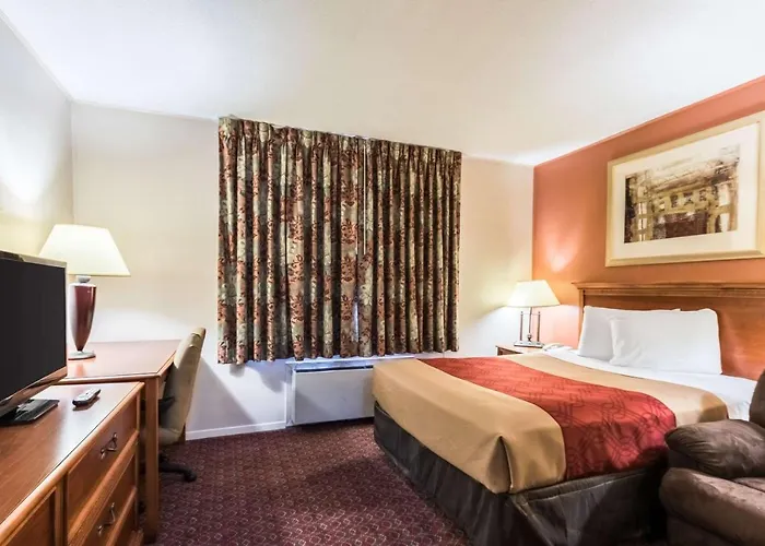 Top Wyndham Hotels in Austin for Memorable Stays