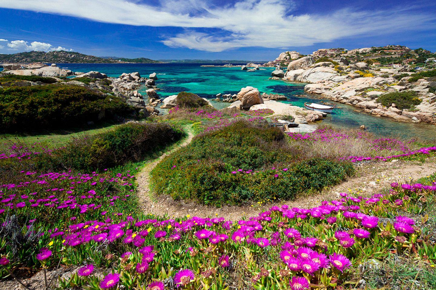 Maddalena, Sardinien